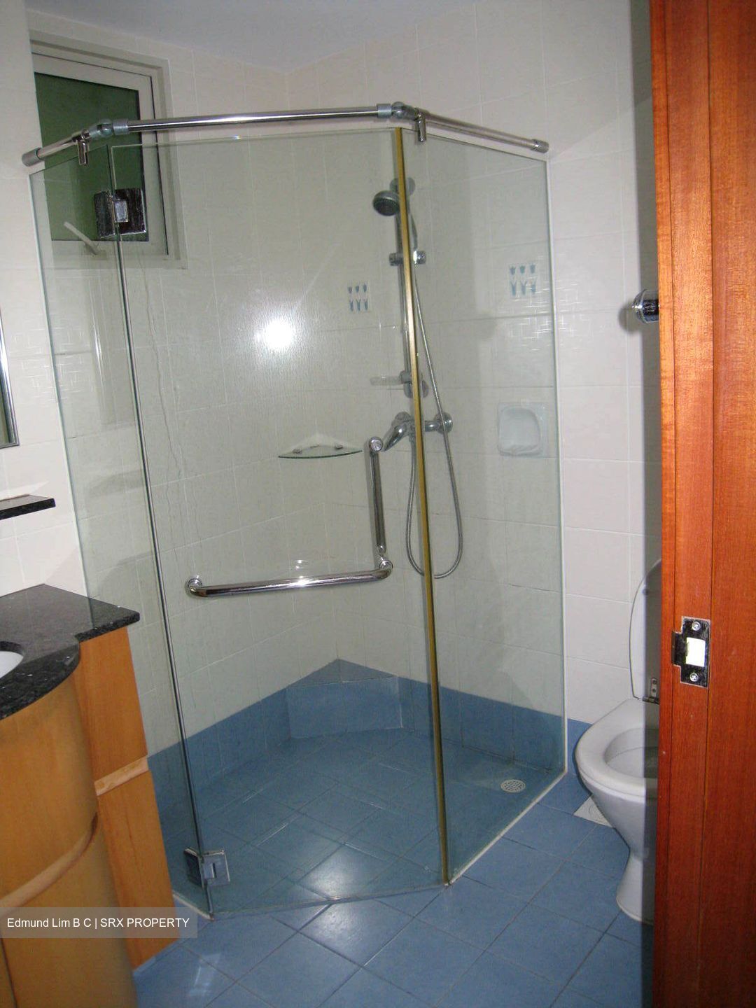 The Gardens At Bishan (D20), Condominium #609155141